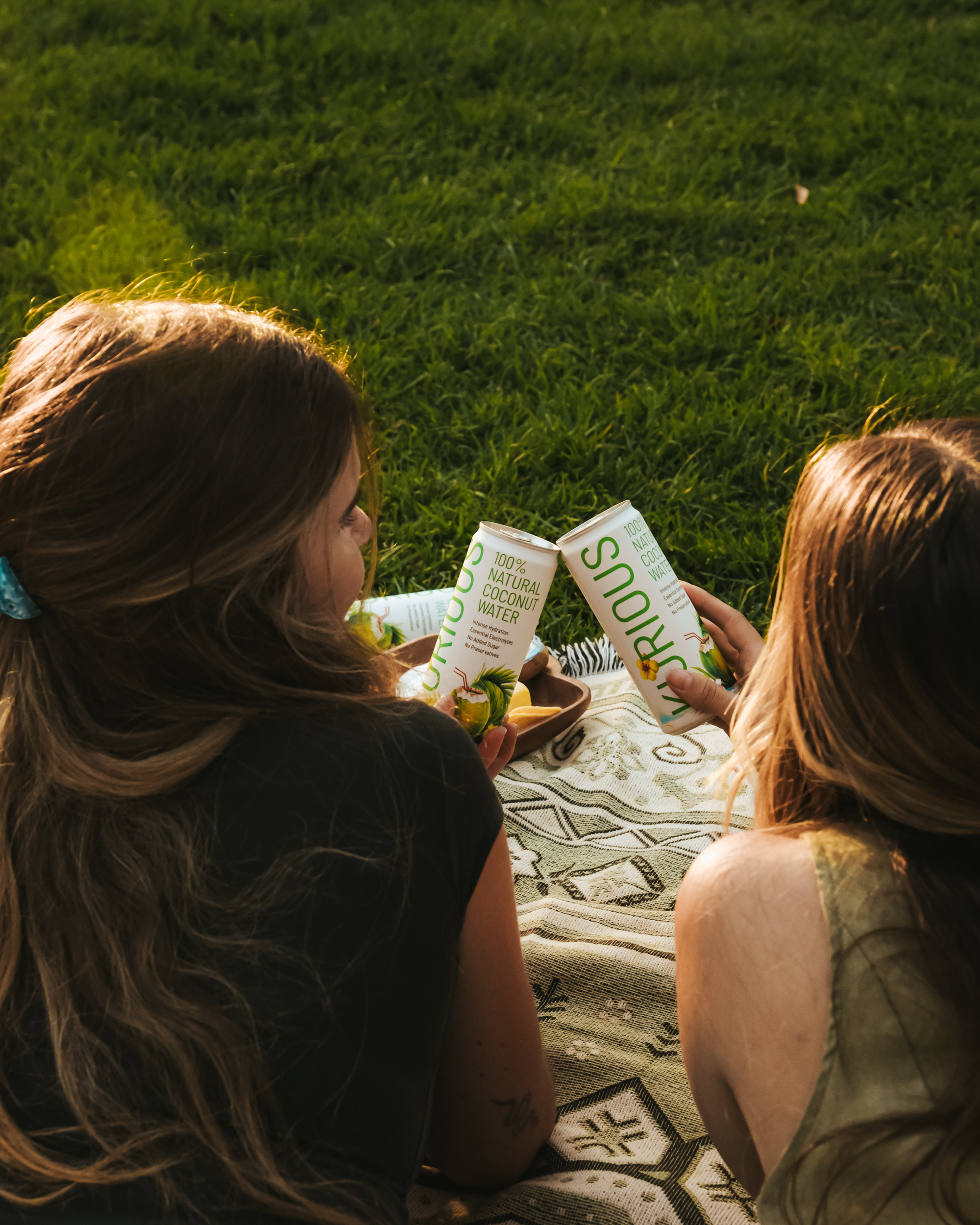 <em><strong>What  We Do</strong></em>