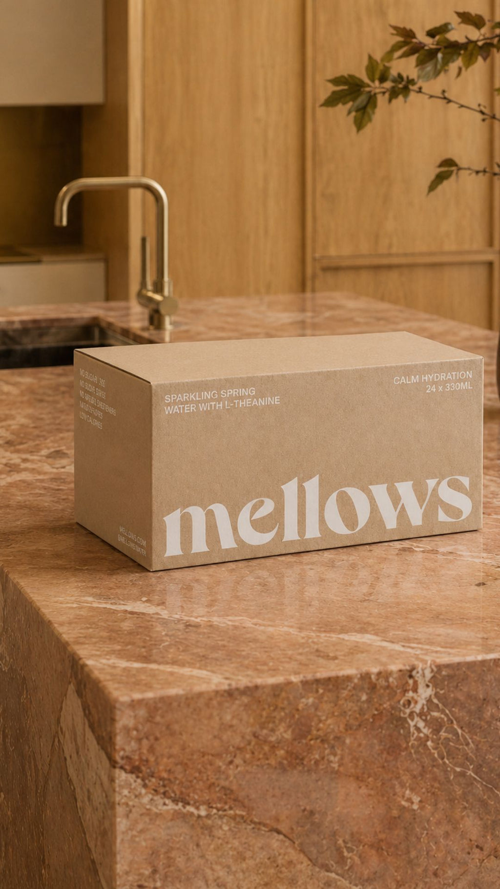 Mellows | 132mg of Fermented L-Theanine in a can